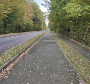 Balade dans la forêt d'Évreux - Évreux - 2
