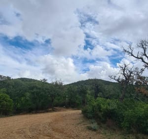 Balade de Tamary au Col de Babaou - La Londe-les-Maures - 2