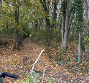 Randonnée VTT à Waldeck, par Butte des Huns - Riedisheim - 4