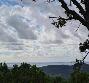 Balade de Tamary au Col de Babaou - La Londe-les-Maures - 3