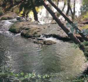 Tour du Lac de Carcès en partant du village - Carcès - 2