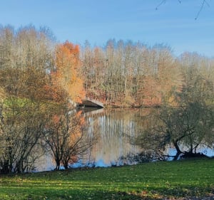 Étang de St Quentin en Yvelines par la mare de Tournelle - Les Clayes-sous-Bois - 2