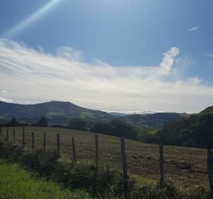 Balade sur les hauteurs d'Espelette - Espelette - 2