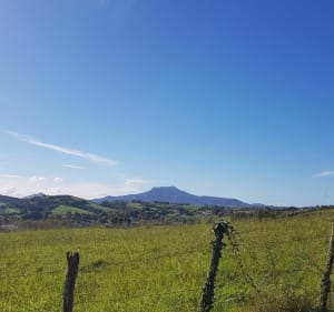Balade sur les hauteurs d'Espelette - Patricia - 4
