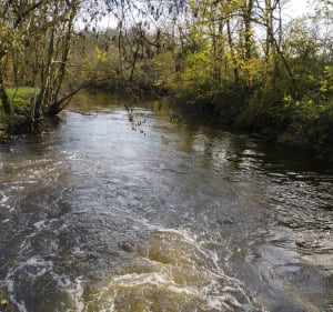 Boucle de Chaillé-sous-les-Ormeaux - Sebastien - 3
