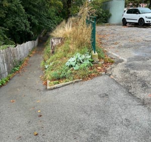 Balade familiale sur les bords de la rivière Ain - Champagnole - 3