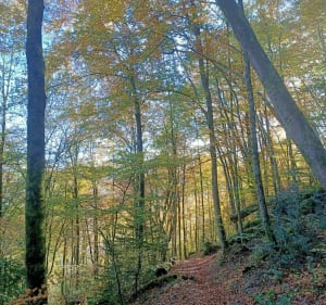 Vallon du Salut, grotte et Vierge du Bedat, Allées Dramatiques - Bagnères-de-Bigorre - 2