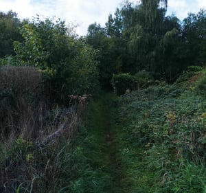 Boucle Liancourtoise - Liancourt - 2
