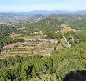 Les dentelles à Gigondas - Deborah - 3