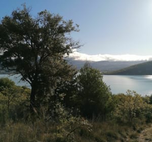 Sainte-Croix-du-Verdon, familiewandeling op de hoogten van het meer - Sainte-Croix-du-Verdon - 2