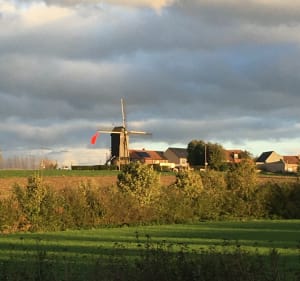 Campagne et ville autour de Marcq - OLIVIER - 3