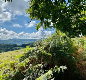 Belle balade en milieu rural aux alentours de Pré Grimaud - Arfeuilles - 2