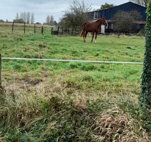 Belle balade sur Festubert et aux alentours - Festubert - 2