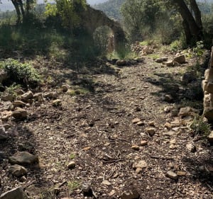 Balade entre Rocbaron et le château de Forcalqueiret - Rocbaron - 2