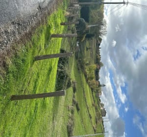 Marche bucolique Sourcieux-les-Mines col de fougerolles - Vincent - 3
