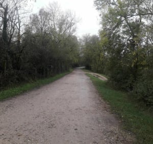 Trévoux - Saint-Bernard par Chamalan et les bords de Saône - Trévoux - 2