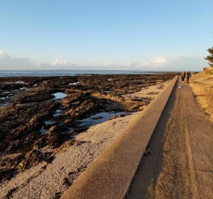 En balade à la Plaine sur Mer! - La Plaine-sur-Mer - 3