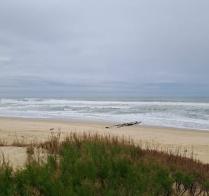 Mimizan à la plage Nord - Mimizan - 2