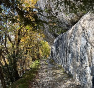 Du col de Vence vers l’Ermitage de Faissia - Corenc - 4
