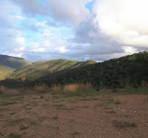 Du massif des Maures à la mer et Port Maravenne à VTT - Pierrefeu-du-Var - 3