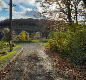 De Montigny à Cons à travers bois - Montigny-sur-Chiers - 2
