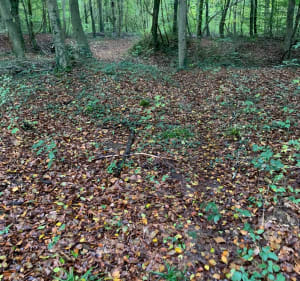 Balade autour de Morcourt - Feigneux - 2