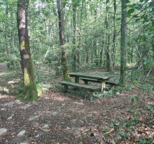 Petite balade avec les ados sur la commune d'Aizenay - Aizenay - 2