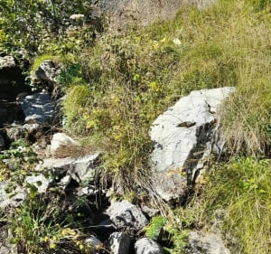 Pointe de Haut Fleury - Taninges - 2
