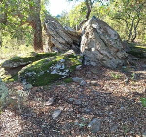 Plateau Lambert - Collobrières - 2