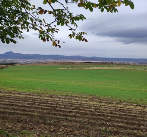 Petite boucle de Clermont par Puy d'Anzelle - Clermont-Ferrand - 2