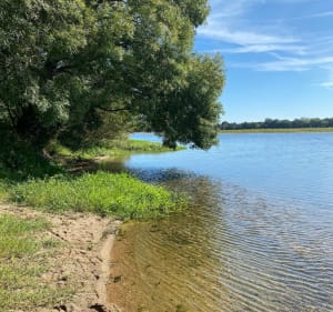 La Loire à vélo - des Ponts-de-Cé à La Bohalle - Les Ponts-de-Cé - 2