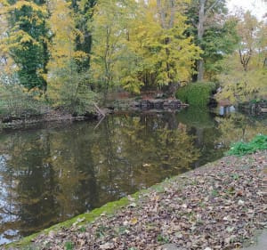 De Misérieux à Ars via le bois de Cibeins - Misérieux - 3