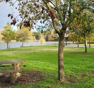 Vivy : Plan d’eau des Monteaux - Vivy - 5