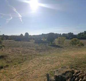 Allée des Bories Grans - Grans - 2