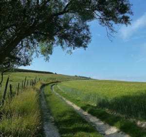 Balade en forêt de Hesdin avec Opale-Bike - Hesdin - 2