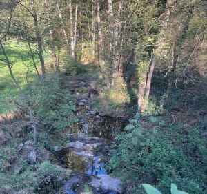Tour de Picancel - Roiffieux - 2