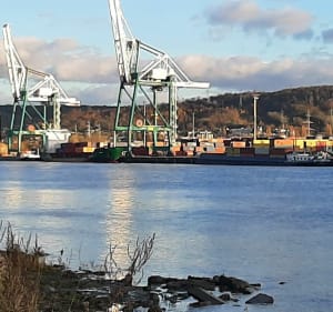 Boucle au départ d'Hautot-sur-Seine vers Sahurs - Hautot-sur-Seine - 2