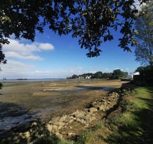 Pointe du Ruault presqu'île de Rhuys - Nadine - 3