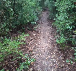Rando VTT Lirac ,Saint Victor la Coste - Lirac - 2