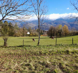 St-Ismier, Bernin et St-Nazaire-les-Eymes - Saint-Ismier - 2
