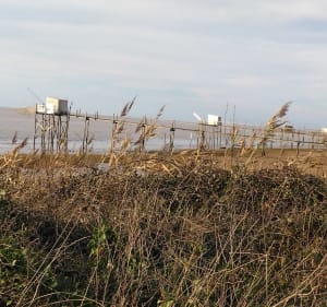 De Port Vitrezay à la Grange d'Allouet - Isa - 3