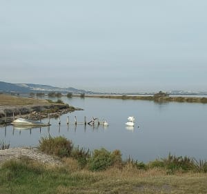 Chateauneuf les Martigues-Marignane via l'étang du Bolmon - Châteauneuf-les-Martigues - 2