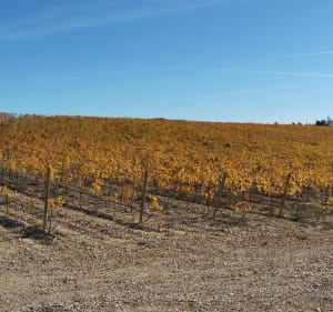 Les Barres Rouges sous les Opies - Aureille - 2