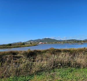 Petite Balade vers Hyères - Toulon - 2