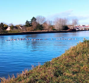Circuit des voies navigables le long de la Lys - Philippe - 3