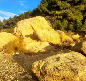 Tour au fond du lit de l'étang de Lavalduc - Fos-sur-Mer - 2