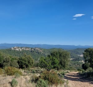 Boucle entre Vins sur Caraly et Carcès - Vins-sur-Caramy - 5
