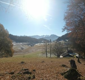 Plaine joux-plateau voor gezinnen - Bogève - 2