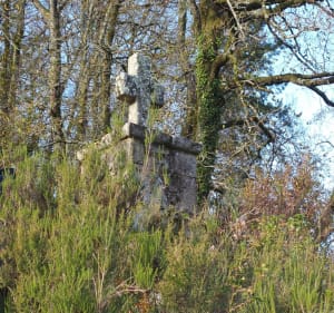 Entre Pluherlin et Rochefort-en-Terre - Pluherlin - 2