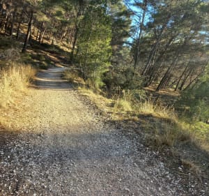 Sortie VTT du samedi après-midi autour de l'Etang de Lavalduc et du Pourra - Georges - 3